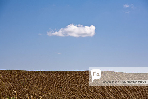 Einzelne weiße Wolke in klarem  blauen Himmel über einem Acker auf dem Land
