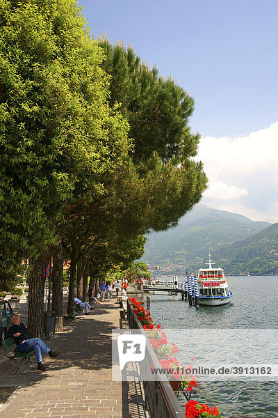 Promenade in Menaggio  Lake Como  Italy  Europe