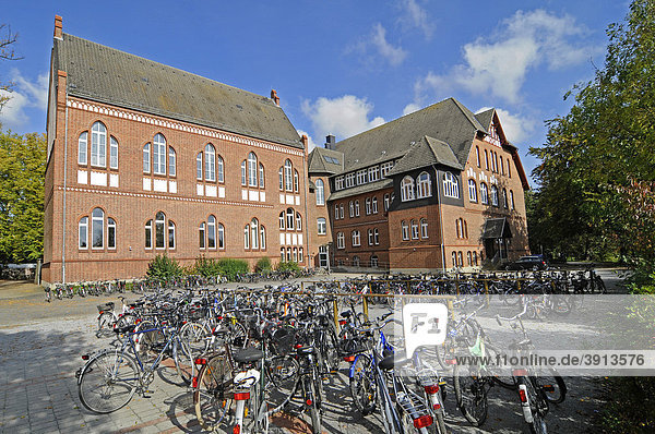 Viele Fahrräder  Gymnasium St Antonius  Lüdinghausen  Kreis Coesfeld  Münsterland  Nordrhein-Westfalen  Deutschland  Europa