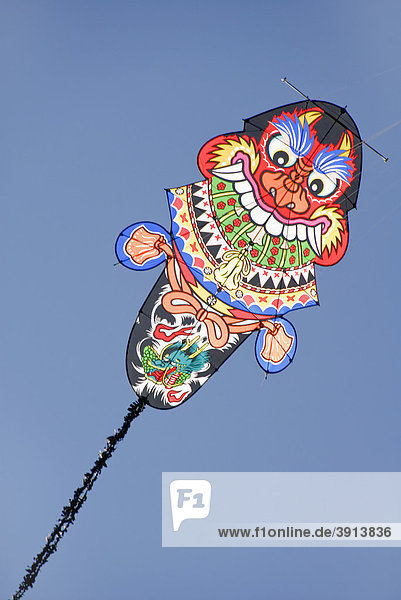 Chinesischer Drache  International Kite Festival  Bristol  England  Großbritannien  Europa