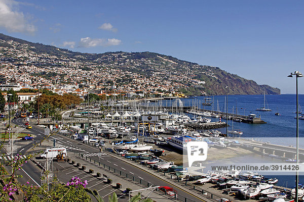 Aussicht auf die Stadt von der Terrasse vom Park Santa Catarina  Funchal  Madeira  Portugal  Europa