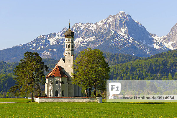 Wallfahrtskirche St. Coloman bei Füssen  Thannheimer Berge  Frühling  Ostallgäu  Allgäu  Bayern  Deutschland  Europa