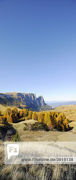 Seiser Alm mit Schlern im Herbst  Dolomiten  Südtirol  Italien  Europa