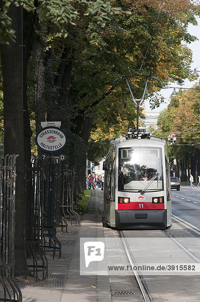 Straßenbahn in Wien  Österreich  Europa