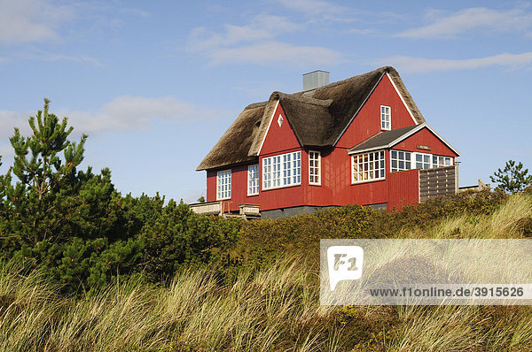 Klassisches  reetgedecktes Ferienhaus in Vejers Strand  Jütland  Dänemark  Europa