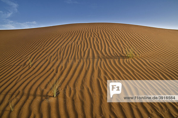 Wüste an der Grenze von Dubai und dem Oman  Naher Osten