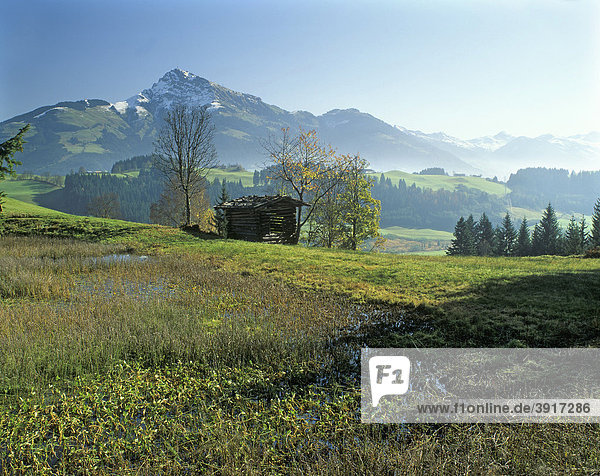 Kitzbühler Horn aus dem Tal der Pillerseer Ache  Tirol  Österreich  Europa