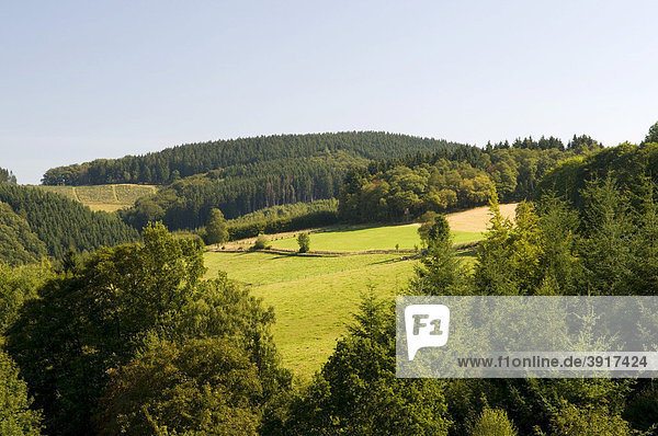 Ausblick von der Fürwiggetalsperre auf den Naturpark Ebbegebirge  Sauerland  Nordrhein-Westfalen  Deutschland  Europa