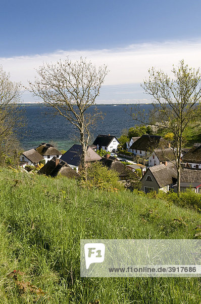 Reetgedeckte Häuser im Fischerdorf Vitt  Insel Rügen  Mecklenburg-Vorpommern  Deutschland  Europa