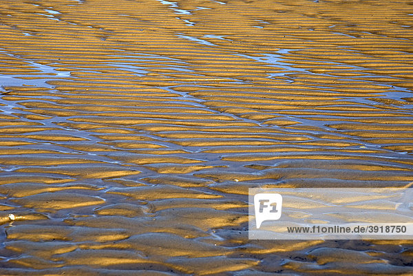 Rinnen im Watt  Nationalpark Niedersächsisches Wattenmeer  Cuxhaven  Niedersachsen  Deutschland  Europa