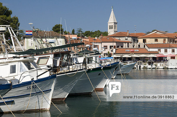 Hafen von Novigrad  Istrien  Kroatien  Europa