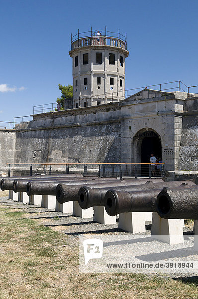 Kanonen vor der Festung  Pula  Istrien  Kroatien  Europa