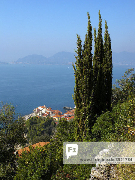 Tellaro  Stadt am Meer  Zypresse  Riviera  Ligurien  Italien  Europa