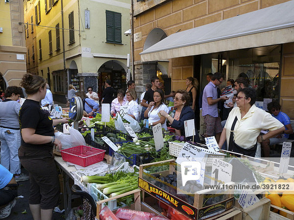 Markt auf der Piazza Mazzini  Altstadt  Chiavari  Riviera  Ligurien  Italien  Europa