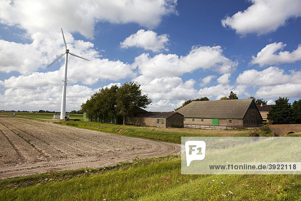 Nordholländisches Bauernhaus mit Windrad zur Energieversorgung  ländliches Alkmaar  Niederlande  Europa