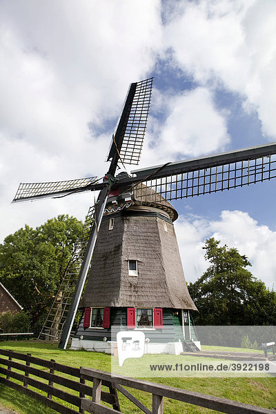 Niederländische Windmühle  Edam  Holland  Niederlande  Europa