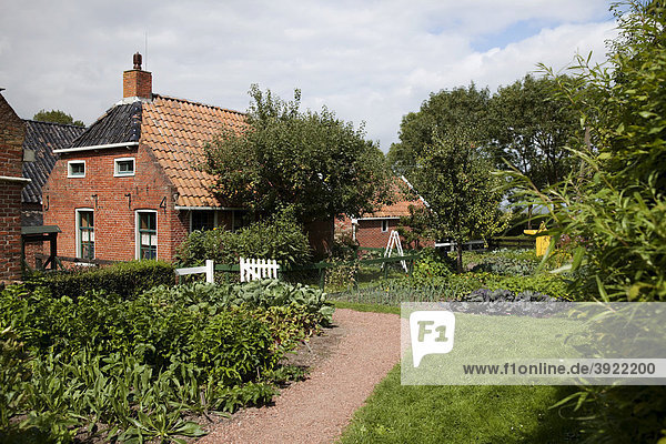 Reproduktion eines mittelalterlichen Dorfes mit Ackerland  Zuiderzee Museum  Enkhuizen  Holland  Niederlande  Europa