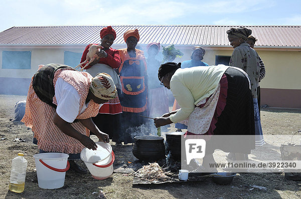 Frauen kochen an offenem Feuer  Lady Frere  Eastern Cape  Südafrika  Afrika