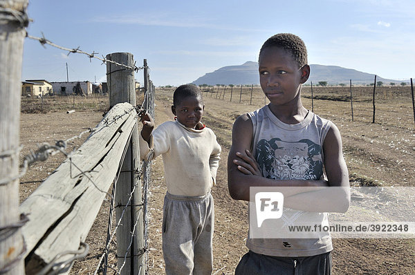 Zwei Jungen auf der Straße  Lady Frere  Eastern Cape  Südafrika  Afrika