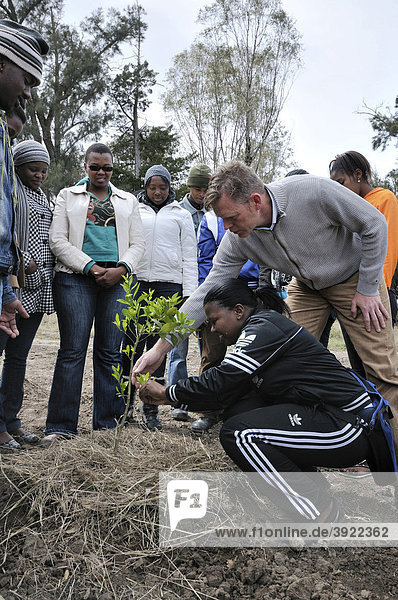 German aid worker teaching South African youths in a school of agriculture  cultivation of citrus trees  Alice Campus  Eastern Cape  South Africa  Africa