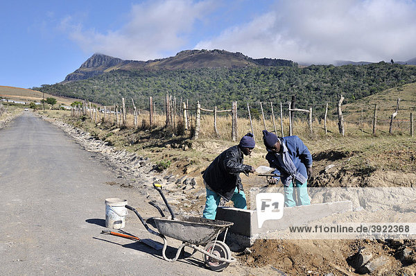 Dorfentwicklung  Ausbau der Infrastruktur  Straßenbau  Cata-Village im ehemaligen Homeland Ciskei  Eastern Cape  Südafrika  Afrika