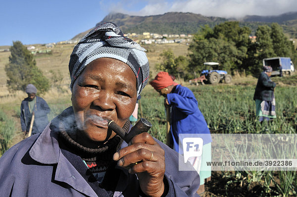 Portrait einer Bäuerin mit Pfeife  Cata-Village im ehemaligen Homeland Ciskei  Eastern Cape  Südafrika  Afrika