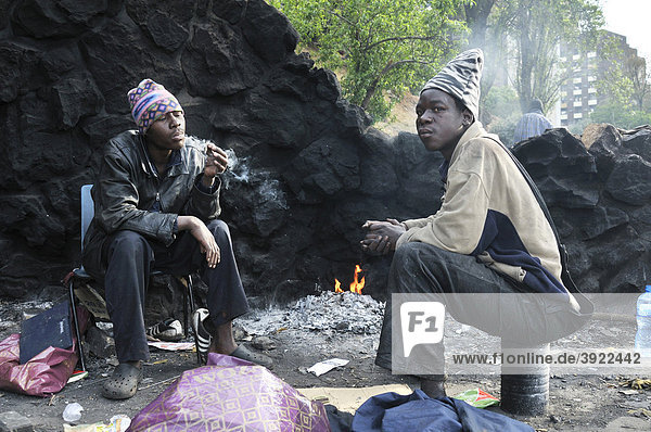 Obdachlose Immigranten aus Mosambik konsumieren Drogen  Marihuana  und wärmen sich am frühen Morgen an einem Feuer im Park Pullinger Kop  Stadtteil Hillbrow  sozialer Brennpunkt im Zentrum von Johannesbug  Südafrika  Afrika