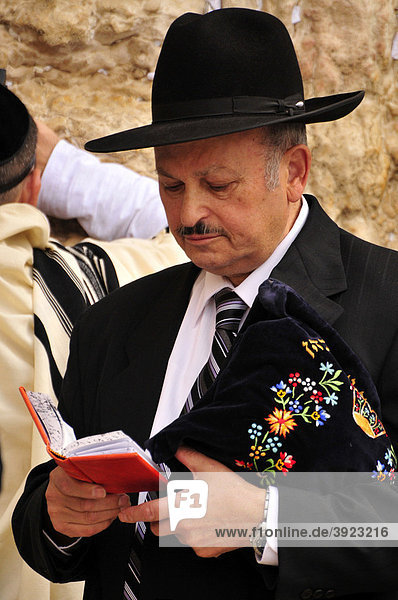 Orthodoxer Jude beim Gebet an der Klagemauer  Jerusalem  Israel  Naher Osten  Orient