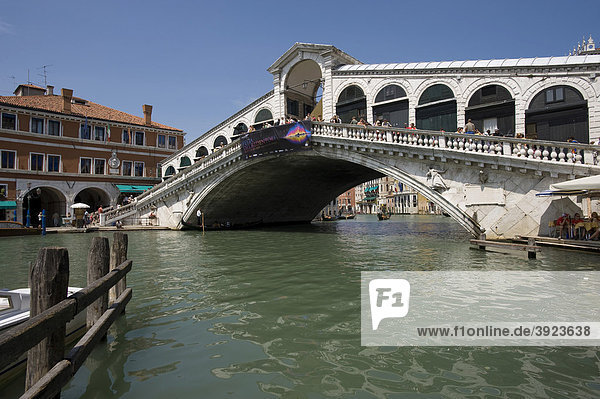 Rialtobrücke  Venedig  Venezia  Veneto  Italien  Europa