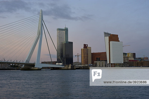 Kop van Zuid  Rotterdam  South Holland  Holland  Netherlands  Europe