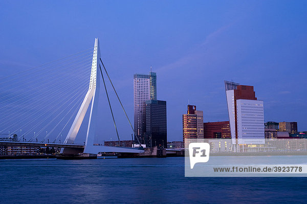 Erasmusbrug bridge and Kop van Zuid district on the Maas River  Rotterdam  South Holland  Holland  Netherlands  Europe