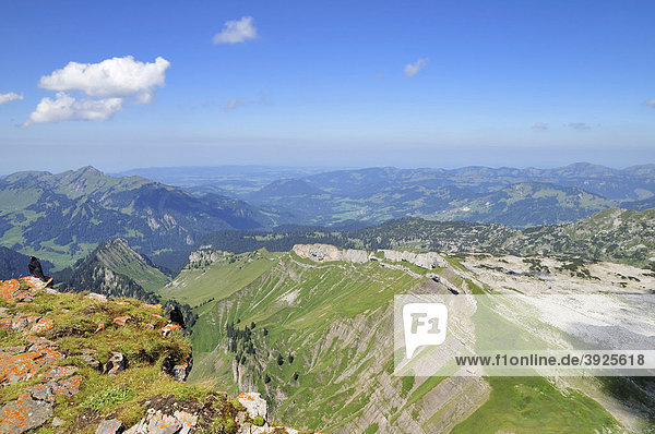 Blick vom Berg Hoher Ifen auf das Gottesackerplateau  Vorarlberg  Allgäuer Alpen  Österreich  Europa