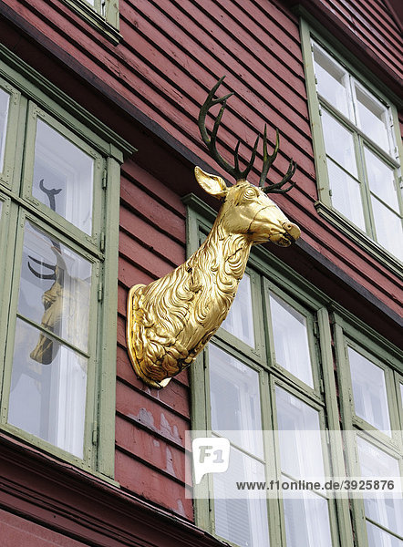 Goldener Elchkopf an der Fassade eines alten Handelshauses  Bryggen  hanseatisches Viertel von Bergen  Norwegen  Skandinavien  Nordeuropa