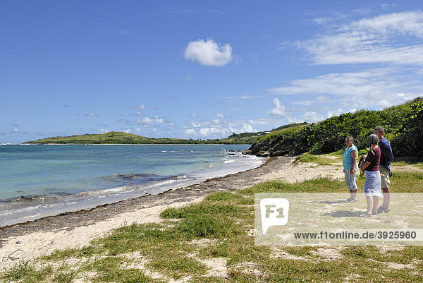 Tourists at the Salt River Bay  landing bay of Christopher Columbus  St. Croix island  U.S. Virgin Islands  United States