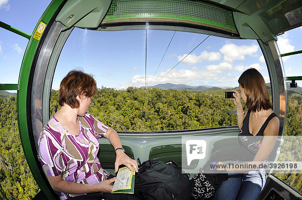 Fahrgäste der Skyrail Rainforest Cableway  die längste Seilbahn der Welt  Kuranda  Regenwald  Atherton Tablelands  Queensland  Australien