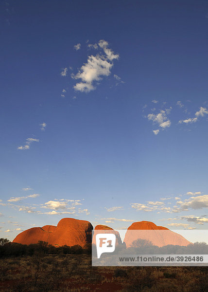 Felsformation Olgas bei Sonnenuntergang  Uluru-Kata Tjuta Nationalpark  Northern Territory  Australien