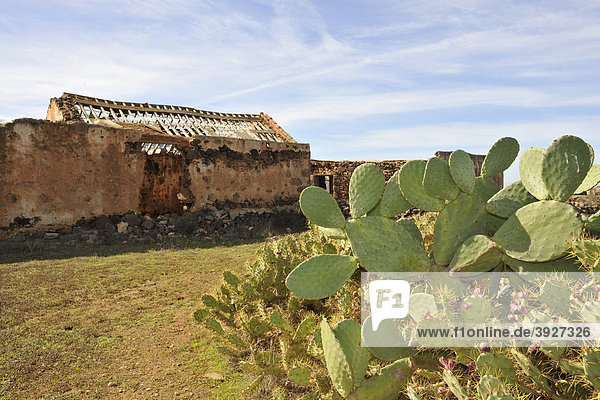 Ruine  Landgut Casa de los Coronels  La Oliva  Fuerteventura  Kanarische Inseln  Kanaren  Spanien  Europa