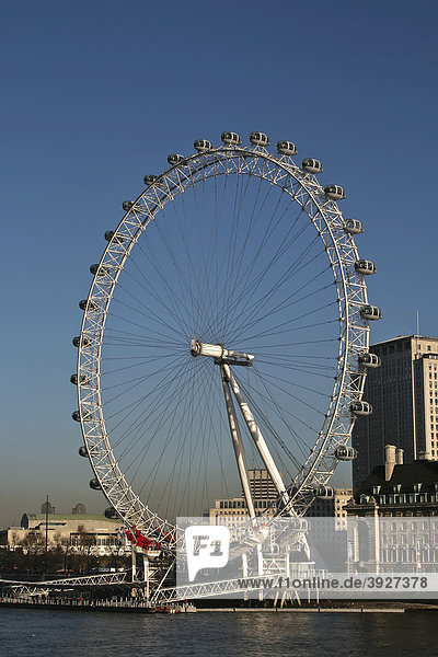 The London Eye  London  England  United Kingdom  Europe