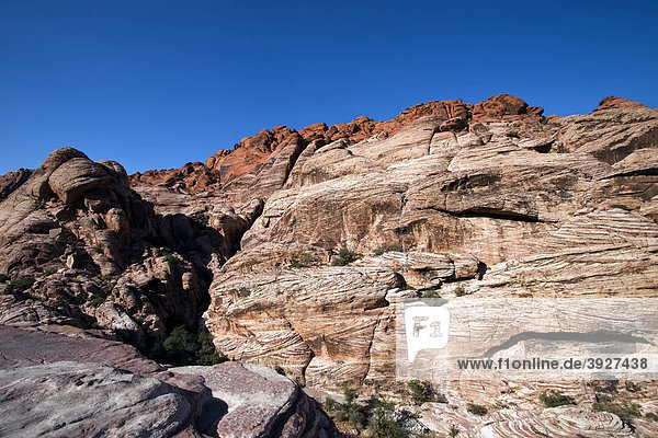 Red Rock Canyon  Nevada  USA