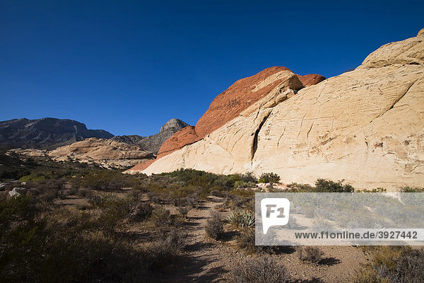 Red Rock Canyon  Nevada  USA