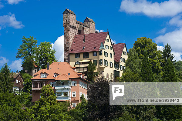 Burg Berneck mit Schildmauer Hoher Mantel  Berneck  Schwarzwald  Baden-Württemberg  Deutschland  Europa