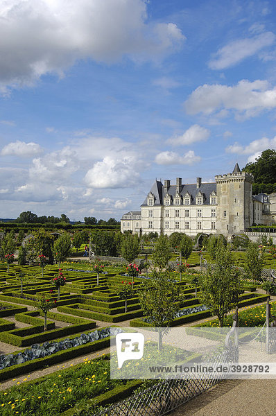 Schloss und Gärten von Villandry  Ch‚teau de Villandry  Indre-et-Loire  Touraine  Loire Tal  Frankreich  Europa