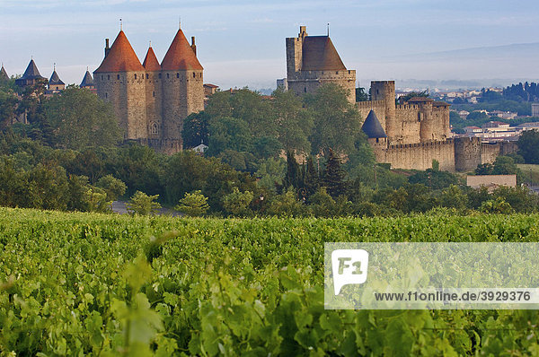 La CitÈ  mittelalterliche Festungsstadt Carcassonne  Aude  Languedoc-Roussillon  Frankreich  Europa