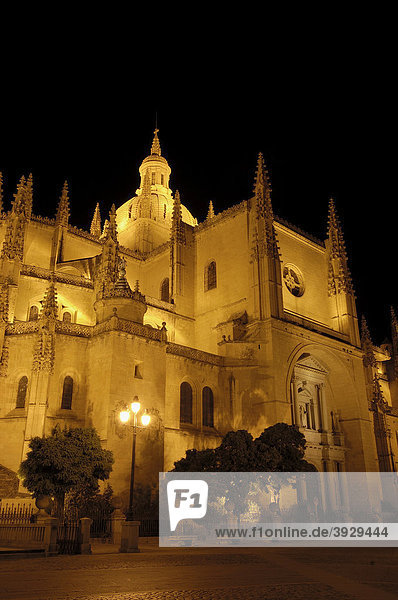 Kathedrale bei Nacht  Segovia  Kastilien-LeÛn  Spanien  Europa