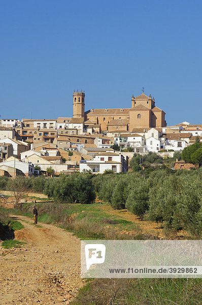 San Mateo Kirche  BaÒos de la Encina  Provinz Jaen  Andalusien  Spanien  Europa