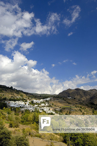 Busquistar  Alpujarras  Provinz Granada  Andalusien  Spanien  Europa