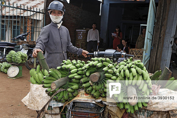 Mrs. Nguyen bringt ihre Bananenernte mit dem Moped zu Nhon  Frucht- und Gemüsehandel in Buon Ma Thuot City in Vietnam  Südostasien