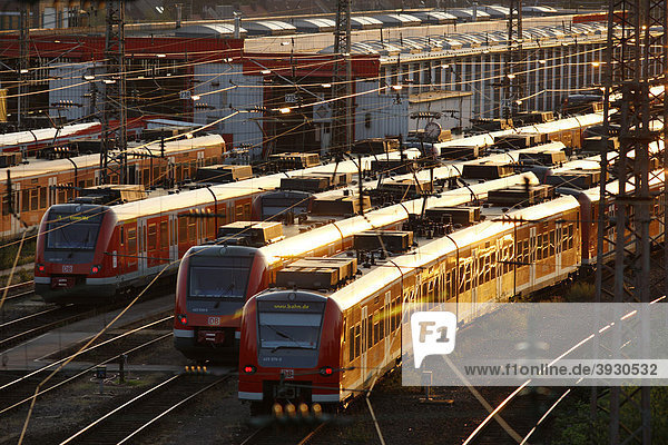 S-Bahn-Züge  Nahverkehrszüge warten auf Gleisen vor dem Hauptbahnhof auf ihren Einsatz  Essen  Nordrhein-Westfalen  Deutschland  Europa