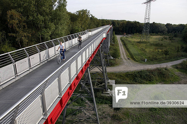 Pfeilerbrücke von 1919  Gelsenkirchen  Erzbahntrasse  Ruhrgebiet  Nordrhein-Westfalen  Deutschland  Europa