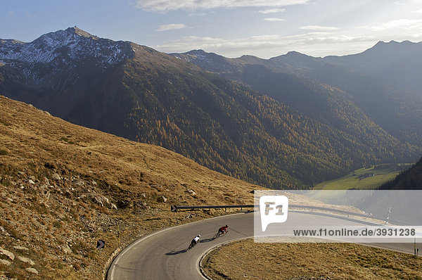 Rennrad-Fahrerin und Fahrer in einer Kehre auf der Penserjochstraße  Südtirol  Italien  Europa